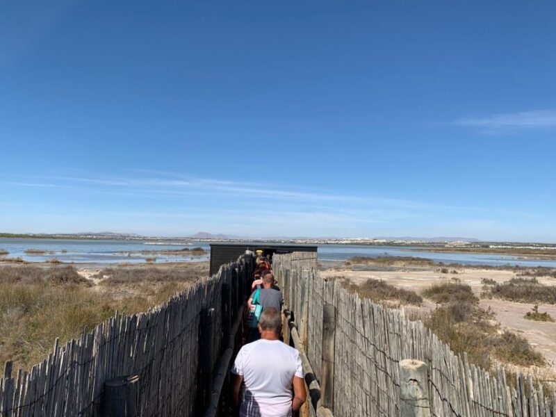 Wine Tour through the vineyards with tasting by Salt Lake - Tasting Organic Wines from Alicante and Regional Pairings