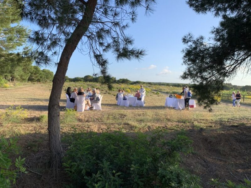 Wine Tour through the vineyards with tasting by Salt Lake - Accessibility and Physical Requirements