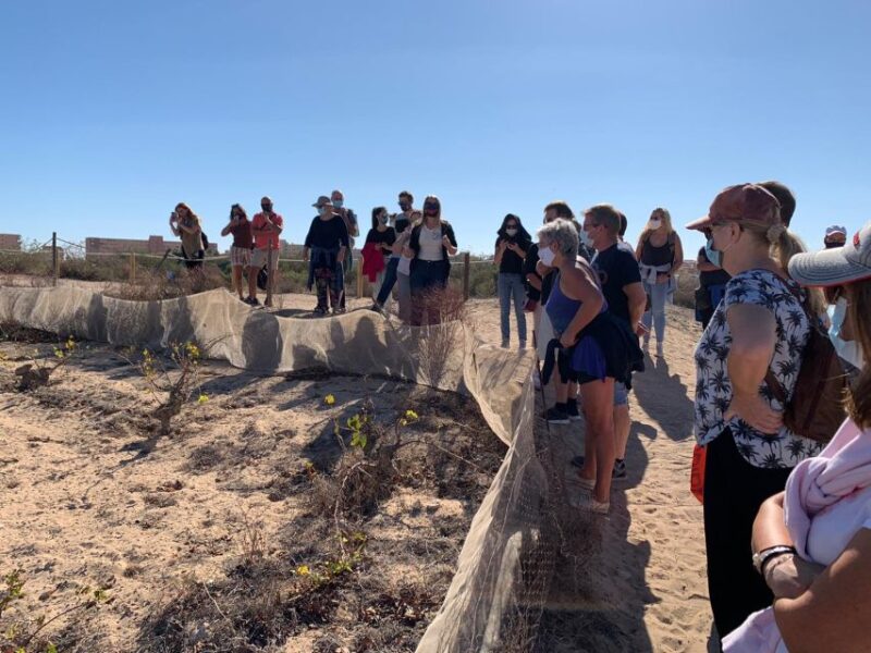 Wine Tour through the vineyards with tasting by Salt Lake - Practical Tips for Participants