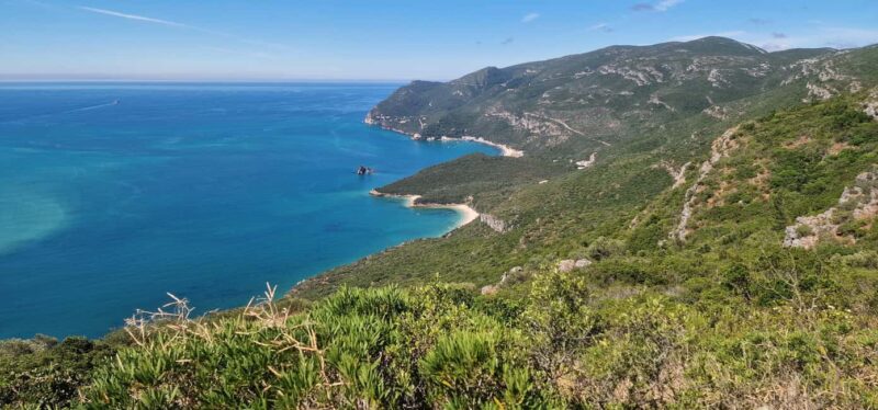 Wine Tour, Tiles Factory near Lisbon - Visiting a Famous Tile Factory in the Heart of the Region