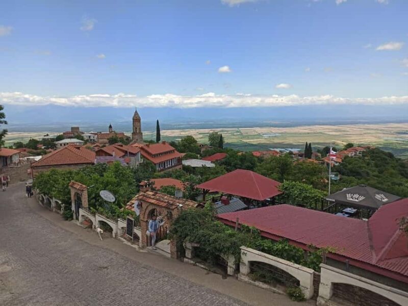 Wine tour to Kakheti: Sighnaghi, Bodbe, wine tasting - Wine Tasting in Telavi’s Vineyards