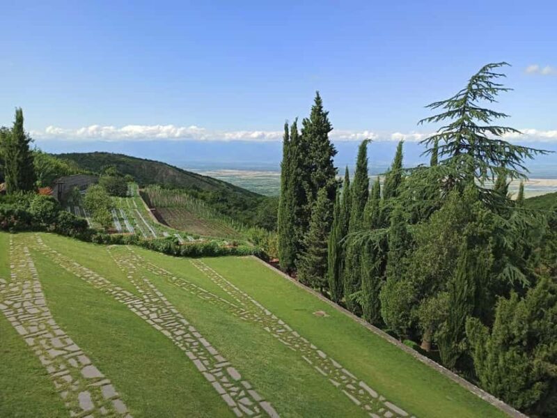 Wine tour to Kakheti: Sighnaghi, Bodbe, wine tasting - Who Should Consider This Tour