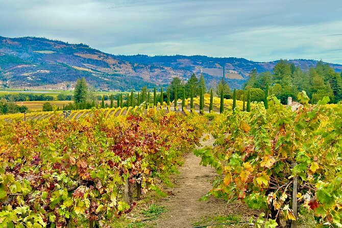 Wine Tour Transportation Services in Napa Valley - Who Is This Tour Best Suited For?