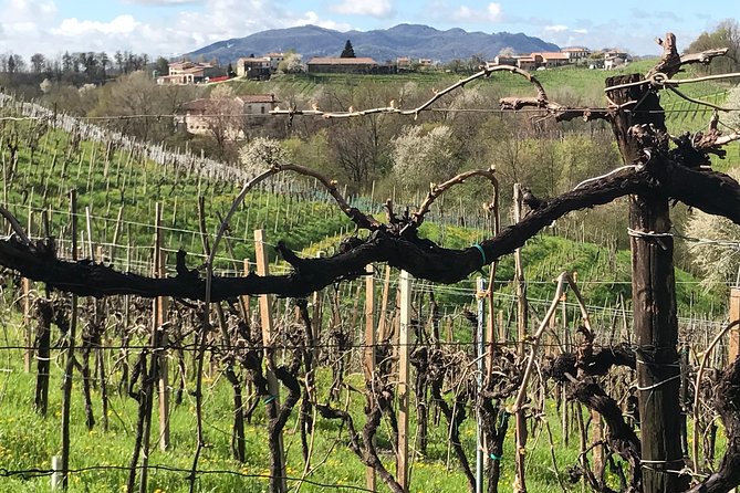 Wine Tour whit wine tasting - Flexibility and Cancellation Policy