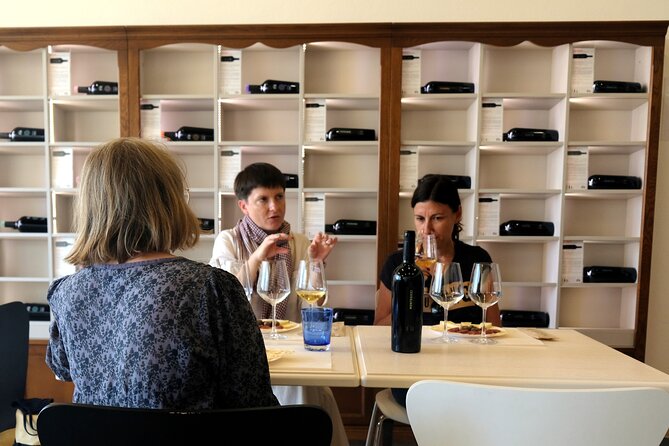 WINE TOUR with sommelier in a winery near Cagliari - Discover Sardinian Wine with a Skilled Sommelier Near Cagliari