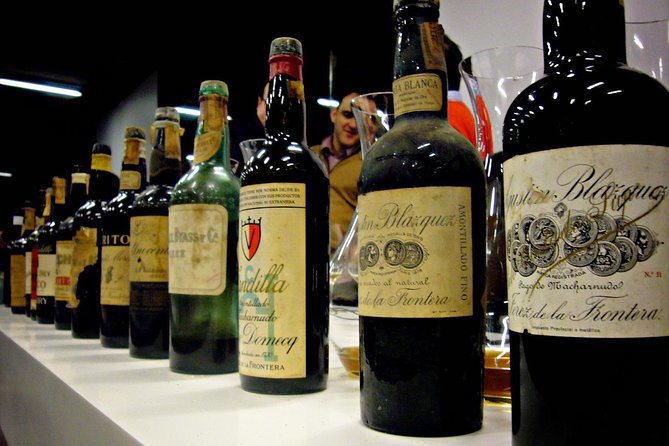 Wine Tourism Half Day Tour - The Experience at Bodegas Salado: A Closer Look