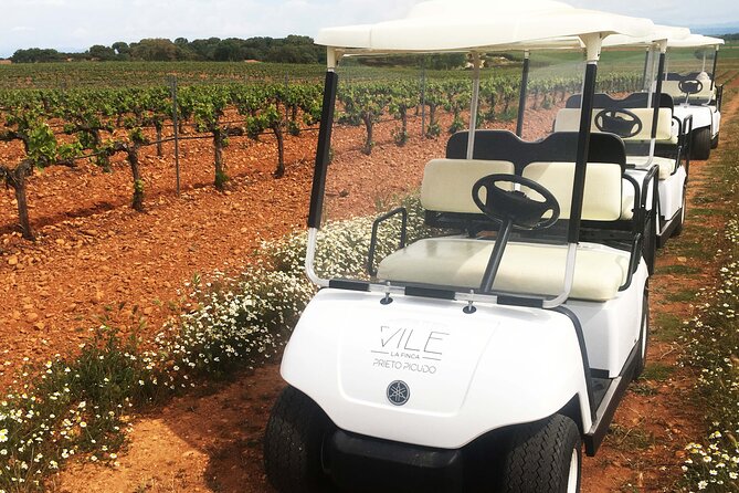 Wine tourism: Wine tasting - Comparing with Other León Experiences