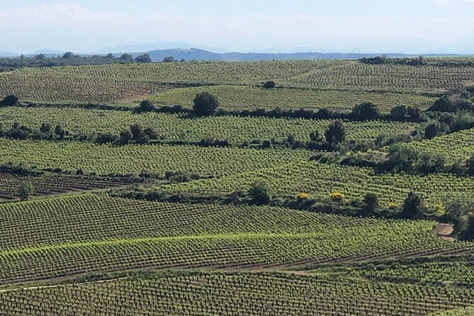Wine Tours and Tastings from Béziers - Exploring the Village of Puissalicon and the First Estate