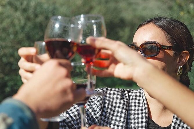 Wine Tours and Tastings from Béziers - Practical Details: Meeting Point and Timing