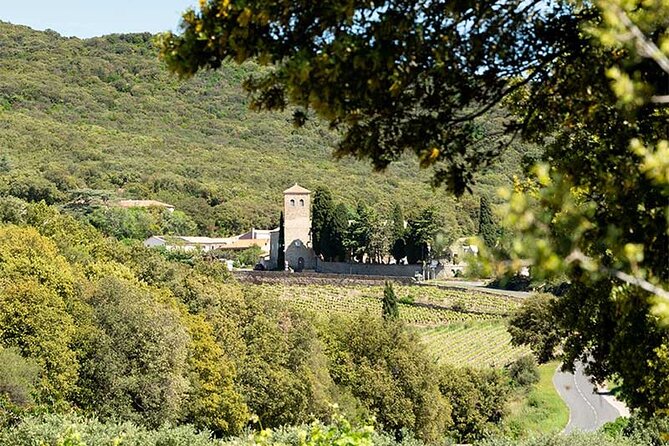 Wine Tours and Tastings from Béziers - Value for Money and Booking Flexibility