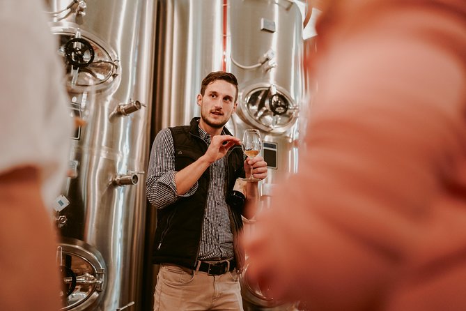 Wine Tours in Slovenia - Hotel Transfers and Logistical Comfort