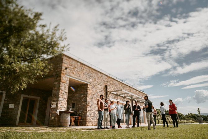 Wine Tours in Slovenia - Booking in Advance and Flexibility