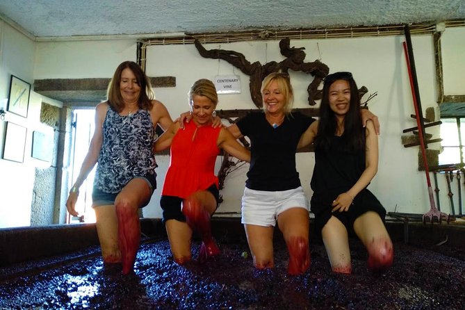 Wine Venture and Boat Trip in Douro Valley from Porto - Second Winery Visit and Traditional Portuguese Lunch in Peso Da Regua