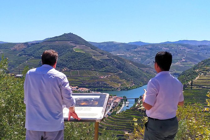 Wine Venture and Boat Trip in Douro Valley from Porto - Included Food, Drink, and Scenic Highlights