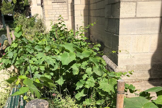 Wine Walk & Tasting in Saint-Germain-des-Prés - Strolling Through Artistic and Literary Landmarks on Rue Jacob