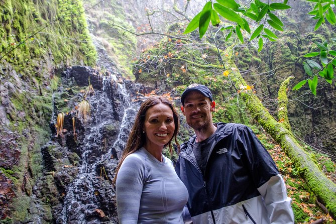 Wine & Wellness Tour in Napa Valley - An Exclusive Journey into Napa Valley’s Natural Beauty and Wine