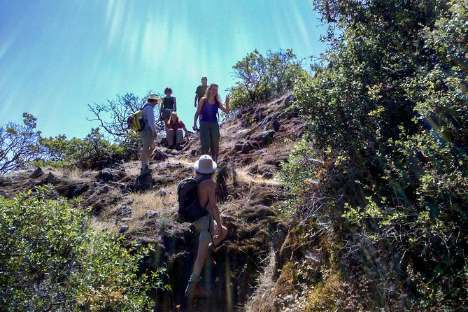 Wine & Wellness Tour in Napa Valley - Personalized Experience and Flexibility