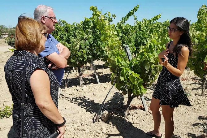 Winery And Oil Mill Tasting Tour - Considerations for Participants