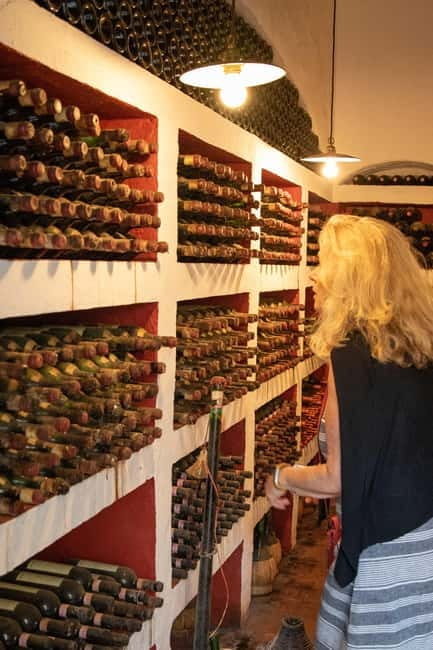 WINERY AND VINSANTAIA TOUR + TASTING + PLATTER - Discover the Heart of Tuscan Wine at I Veroni S.S.