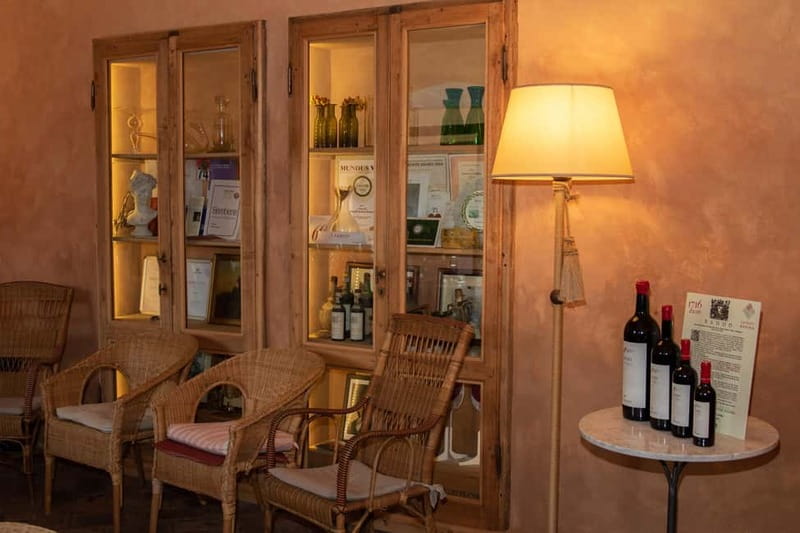 WINERY AND VINSANTAIA TOUR + TASTING + PLATTER - Guided Tasting of Three Signature Wines