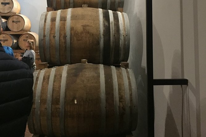 Winery tasting in Marsala and Mothia lagoon tour - Discovering the Archaeological Riches of Mothia