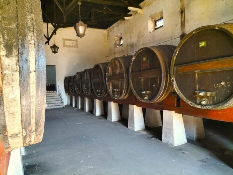 Winery, Tastings & 4WD Vineyards: Half-Day Trip from Lisbon - Explore Lisbons Hidden Wine Region with a Private Half-Day Tour