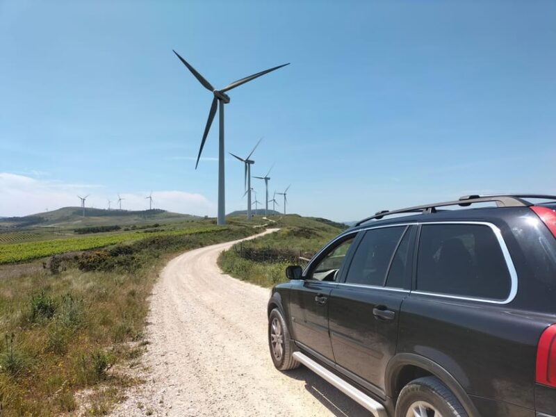 Winery, Tastings & 4WD Vineyards: Half-Day Trip from Lisbon - Visiting the Torres Vedras and Alenquer Wine Areas