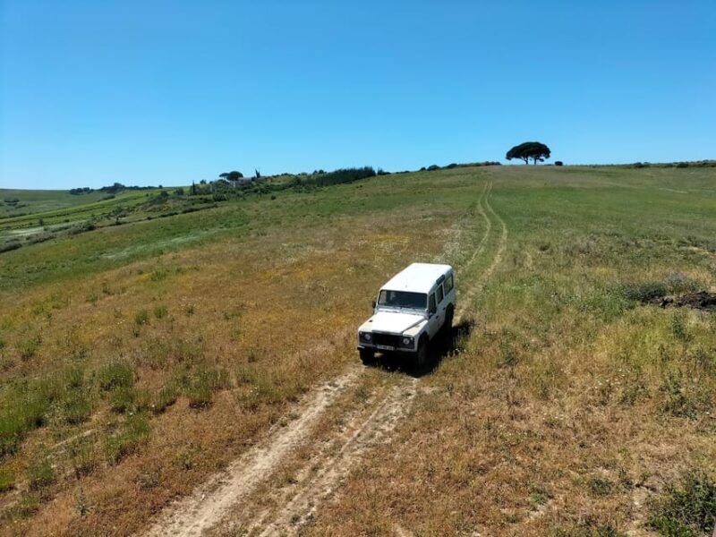 Winery, Tastings & 4WD Vineyards: Half-Day Trip from Lisbon - Tour Options Tailored to Different Interests