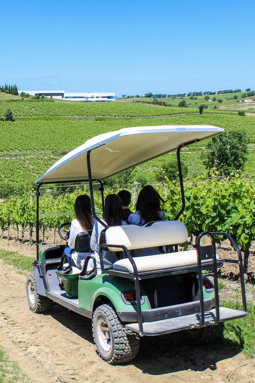Winery, Tastings & 4WD Vineyards: Half-Day Trip from Lisbon - Practical Details and Accessibility