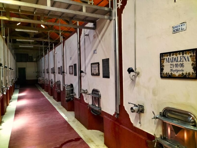 Winery, Tastings & 4WD Vineyards: Half-Day Trip from Lisbon - Final Verdict: A Relaxed, Personalized Wine Trip from Lisbon