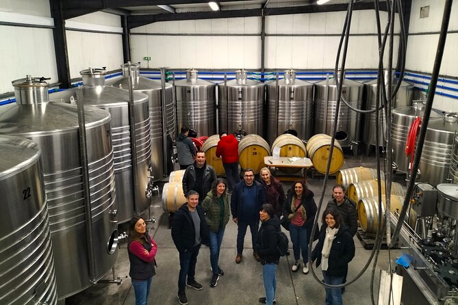 Winery, Tastings & 4WD Vineyards Ride, Half Day Trip from Lisbon - The Wines, Tastings, and Local Delicacies