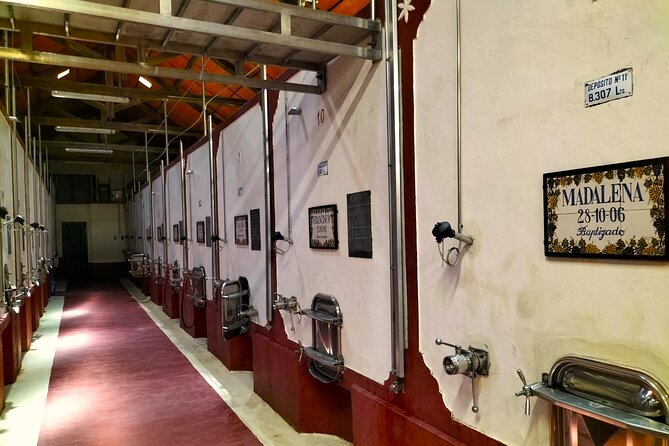 Winery, Tastings & 4WD Vineyards Ride, Half Day Trip from Lisbon - Outdoor Adventures with 4WD or Buggy Rides