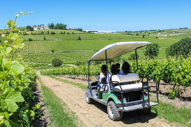 Winery, Tastings & 4WD Vineyards Ride, Half Day Trip from Lisbon - Who Will Appreciate This Tour?