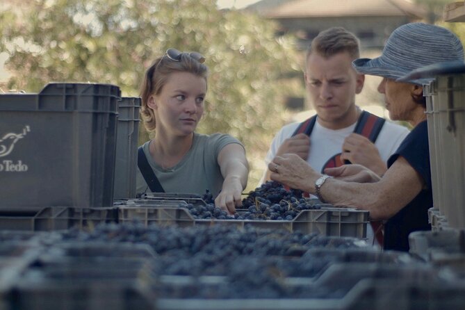 Winery Tour and Tasting in Douro Valley - Practical Details and Booking Tips