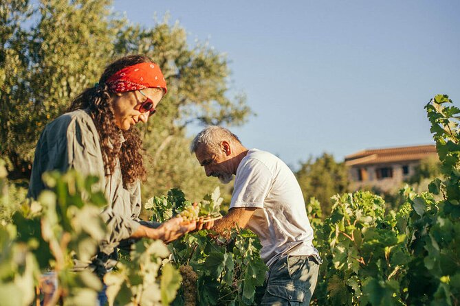 Winery Tour and Tasting in Zakynthos with the Winemaker - Unique Architectural and Artistic Features