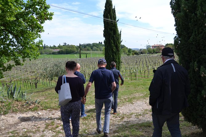 Winery Tour and Tasting of Garda Wines in Lazise - Inside the Cellar: From Grape to Bottle
