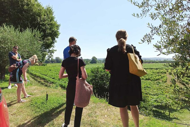 Winery Tour and Tasting of Garda Wines in Lazise - Food Pairings and Local Gourmet Offerings