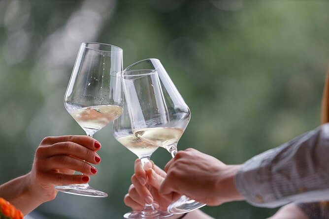 Winery Tour and Tasting of Garda Wines in Lazise - Practical Tips and Booking Details