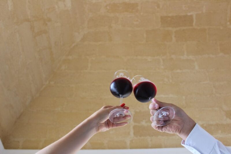 Winery tour and tasting of Sicilian organic wines in Marsala - Inside the Winery: A Tour of Winemaking Secrets