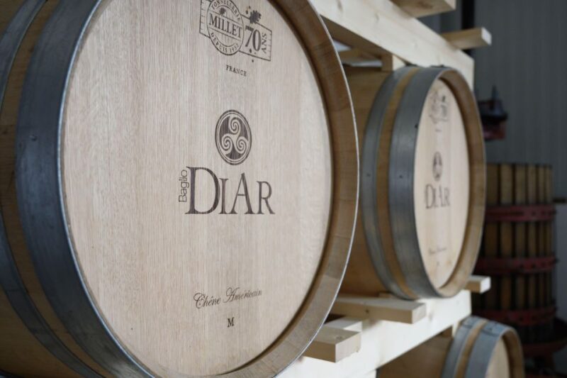 Winery tour and tasting of Sicilian organic wines in Marsala - Why This Tour Stands Out Among Others in Marsala