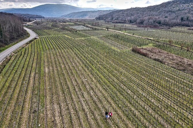 Winery Tour and Tasting with the Sommelier in KRK - Discover Authentic Croatian Wines on Krk Island