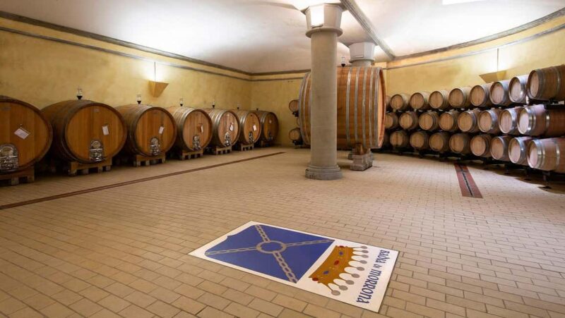 Winery tour and Tuscan wine tasting with culinary specialties - Comparing with Similar Experiences