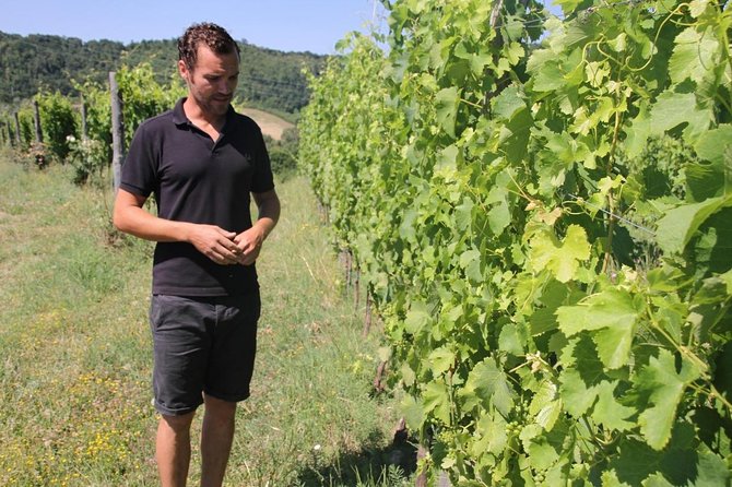 Winery tour and wine, cheese & charcuterie tasting - Key Points