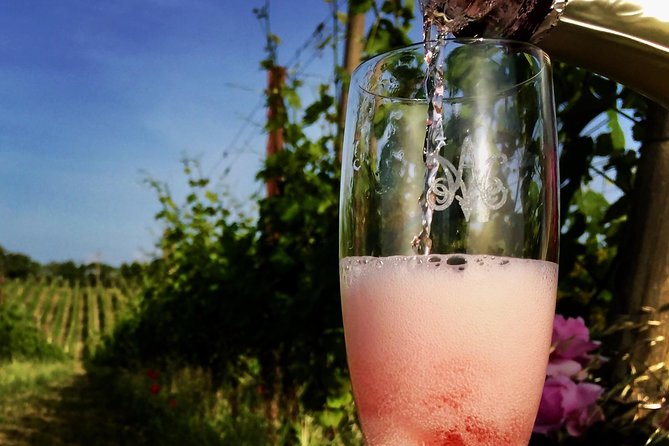 Winery tour and wine, cheese & charcuterie tasting - The Quality of Wines and Local Food Offerings