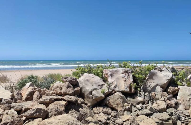 Winery Tour and Wine & Local Food Tasting near Ragusa - Final Thoughts on the Ragusa Wine & Food Experience