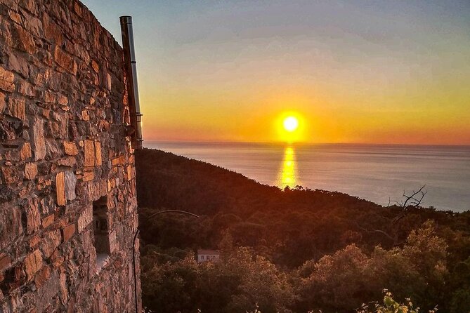 Winery Tour and Wine Tasting at Karimalis Winery in Ikaria - Practical Information: Meeting Point, Booking, and Cancellation Policy