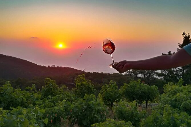 Winery Tour and Wine Tasting at Karimalis Winery in Ikaria - Final Thoughts on the Karimalis Winery Experience