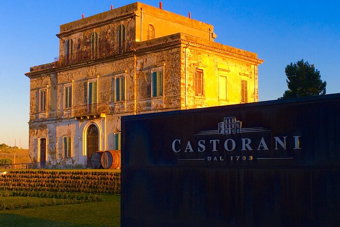 Winery Tour and Wine Tasting in Montepulciano d'Abruzzo - Logistics: Meeting Point and Group Size