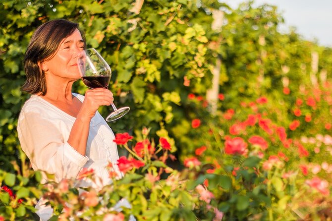 Winery Tour and Wine Tasting in Montepulciano d'Abruzzo - Why This Tour Offers Excellent Value