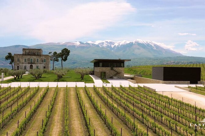 Winery Tour and Wine Tasting in Montepulciano d'Abruzzo - Who Will Enjoy This Wine Tour Most?